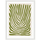 CUADRO CYATHEA