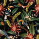 WALLPAPER ACANDÍ