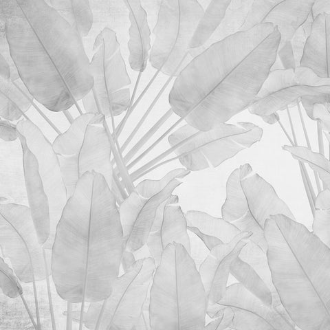 MURAL PAPEL TAPIZ BANARA