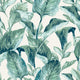 WALLPAPER MANGUARÉ