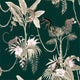 WALLPAPER PARANÁ