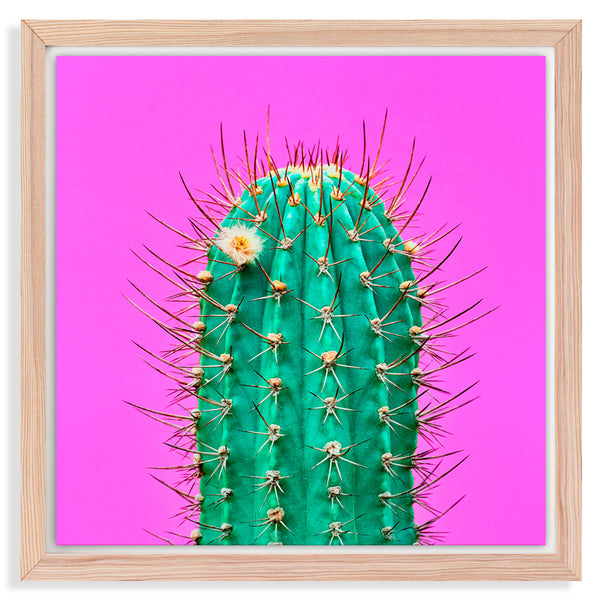 CUADRO LIENZO CANDELARIA