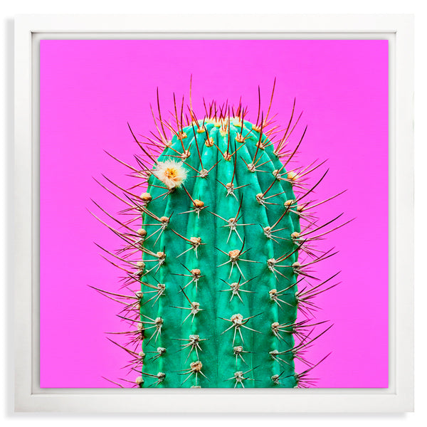 CUADRO LIENZO CANDELARIA