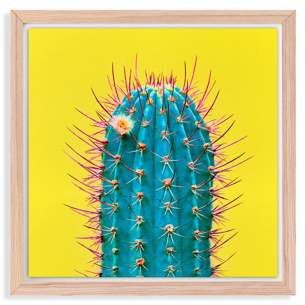CUADRO LIENZO CANDELARIA