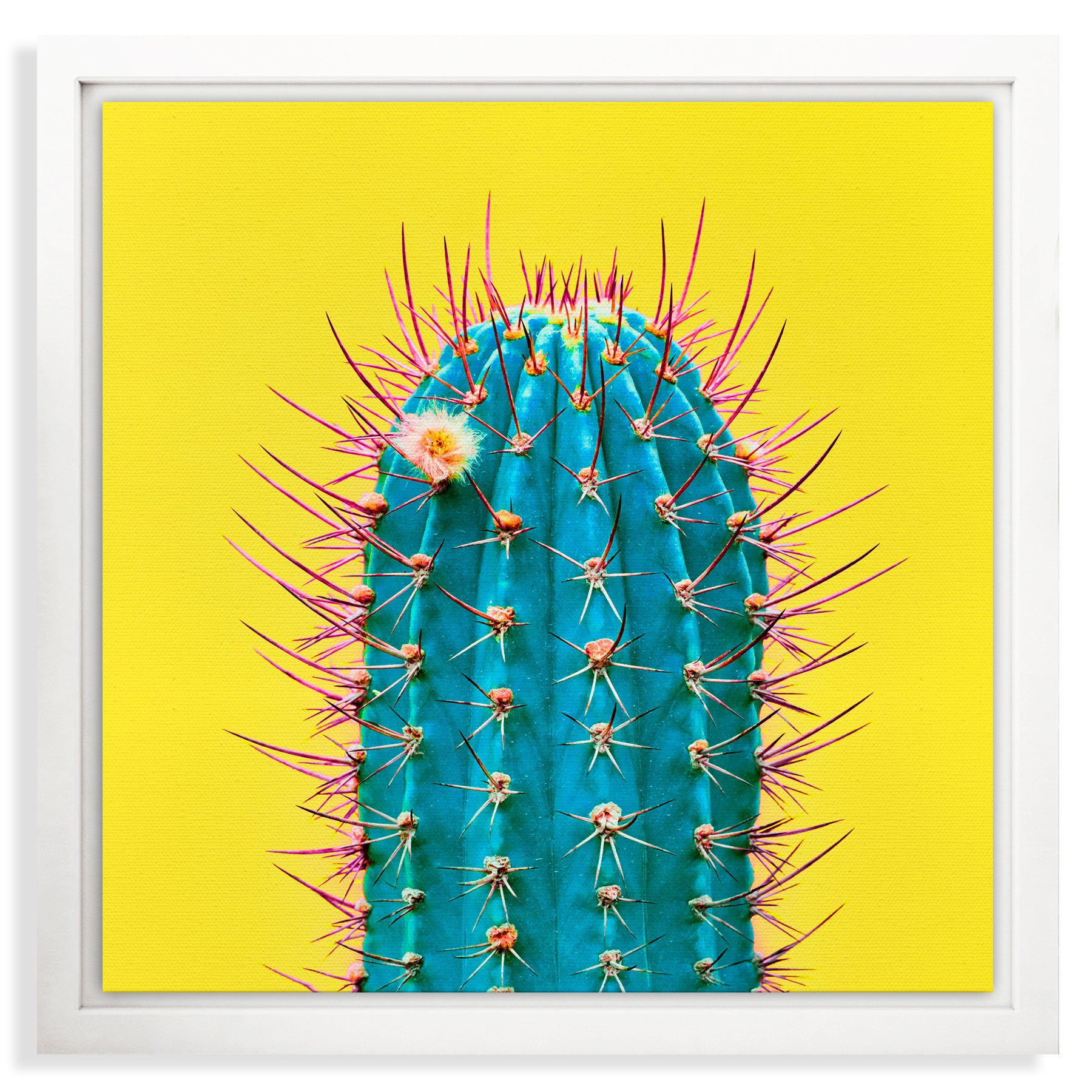 CUADRO LIENZO CANDELARIA